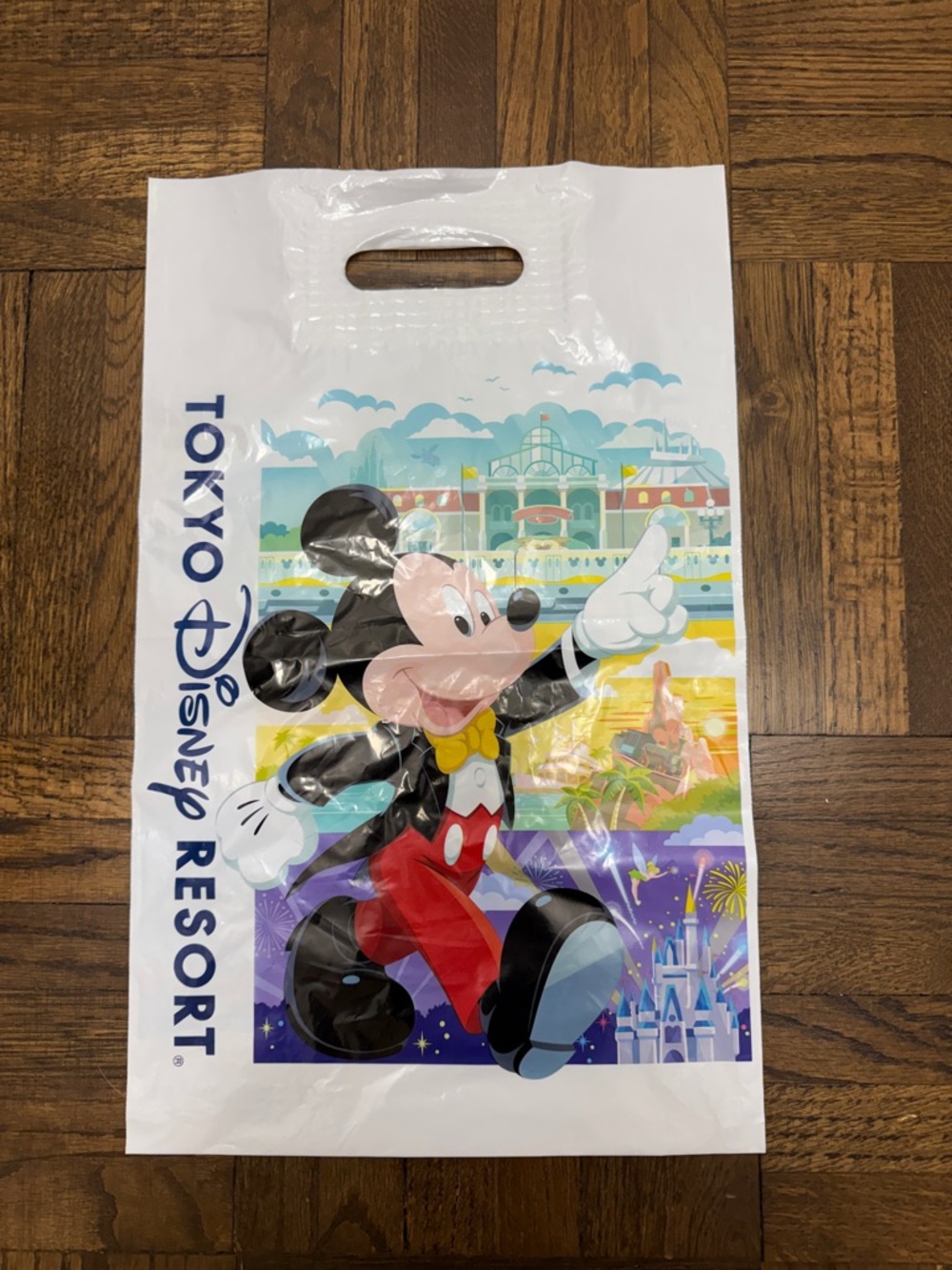 Tokyo Disney Resort Gift Bag - Colorful